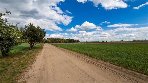 Działka 5600 m² z warunkami zabudowy w Świątnikach Małych działka Świątniki Małe