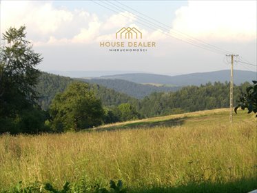 Do sprzedania działka 3418 m² w Bieszczadach z widokiem na góry działka Czaszyn, Brzozowiec