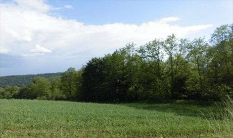 Działka rolna na sprzedaż Brzezinka 3 200m2 Foto 1