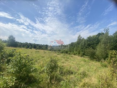 działka na sprzedaż 3473m2 działka Rychwałd, Rychwałd