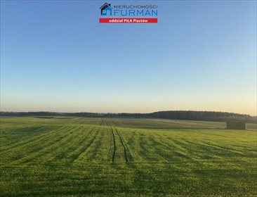 Działka budowlana na sprzedaż Nowy Dwór, Nowy Dwór 3 004m2 Foto 1