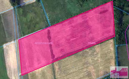 Polecam dużą działkę 33 500 m² w Starym Bógpomóż działka Stary Bógpomóż