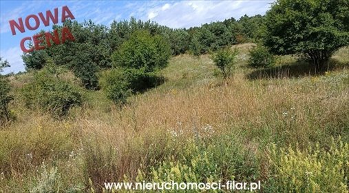 Działka 1034 m² pod dom wielopokoleniowy w Kruszynie działka Kruszyn