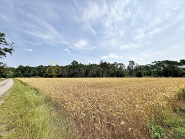 działka na sprzedaż 1348m2 działka Srocko Małe