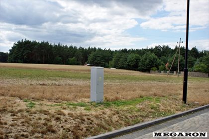 Działka rolna na sprzedaż Załęcze Małe 3 068m2 Foto 6