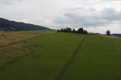 Działka rekreacyjna na sprzedaż Bystra, Radziechowy-Wieprz 1 100m2 Foto 2