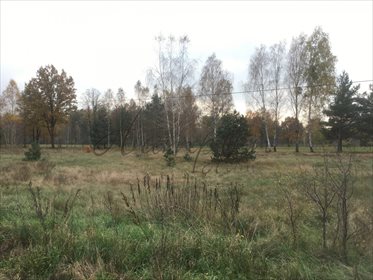działka na sprzedaż 7200m2 działka Nowe Polesie, Jodłowa