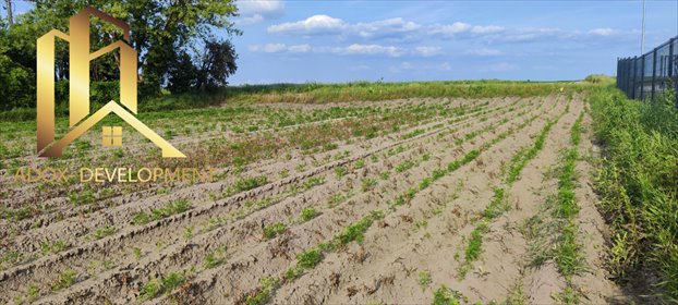 działka na sprzedaż 3800m2 działka Podolszyn