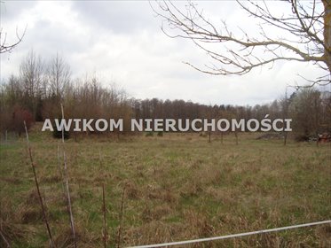 działka na sprzedaż 13500m2 działka Grzmiąca