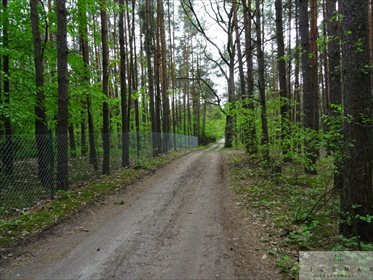 Działka leśna z prawem budowy na sprzedaż Kwiatkowice-Las 2 420m2 Foto 3