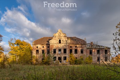 lokal użytkowy na sprzedaż 216628m2 lokal użytkowy Januszewo