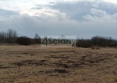 działka na sprzedaż 2000m2 działka Reguły