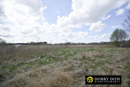 Do sprzedania przestronna działka 4200 m² z domem i potencjałem działka Halickie
