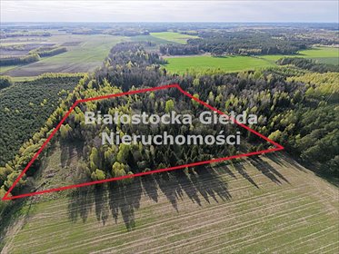 Działka 1,91 ha z lasem i warunkami zabudowy polecam działka Iwanki