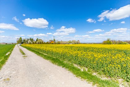 Działka budowlana 3152 m² w spokojnej okolicy działka Strzyżewice