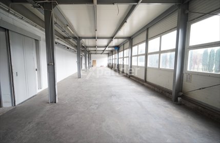 lokal użytkowy na wynajem 927m2 lokal użytkowy Rzeszów, Witolda