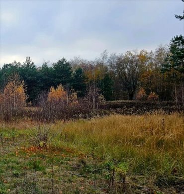 działka na sprzedaż 1084m2 działka Ruda