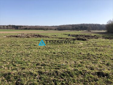 działka na sprzedaż 3000m2 działka Tępcz