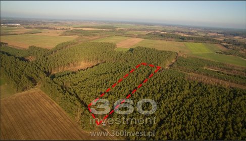 działka na sprzedaż 10800m2 działka Słonów
