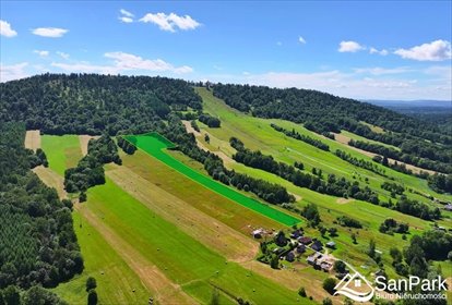 działka na sprzedaż 22000m2 działka Olszanica, Wańkowa