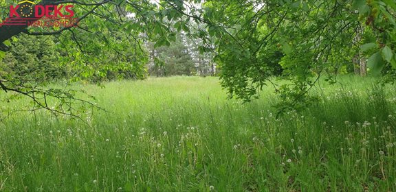 działka na sprzedaż 1326m2 działka Michałów-Reginów