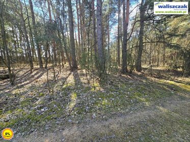 Działka rolna na sprzedaż Stobnica-Piła 1 700m2 Foto 3