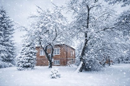 dom na sprzedaż 100m2 dom Haczów