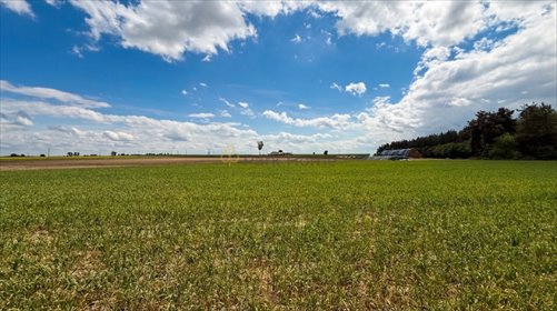 Działka 5600 m² z warunkami zabudowy - polecam działka Świątniki Małe