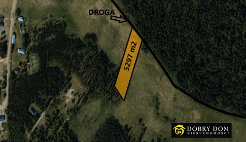 Działka 5297 m² z lasem i spokojem, blisko natury działka Talkowszczyzna