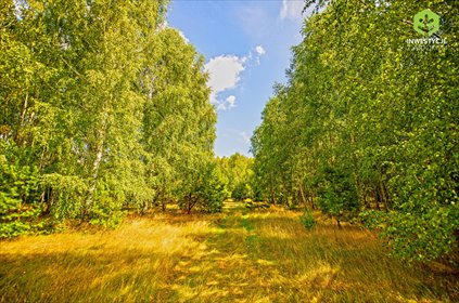 Ostatnie działki w lesie, blisko Warszawy, 702 m2 działka Stanisławów, Ostatnie działki k/Stanisławowa w takiej cenie!