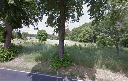 działka na sprzedaż 4000m2 działka Łęgowo