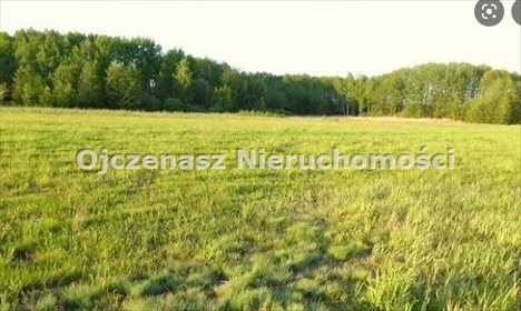 działka na sprzedaż 21240m2 działka Czarnowo