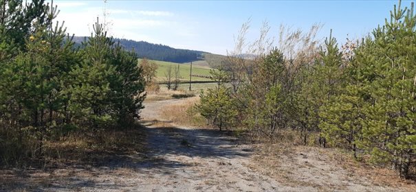 Działka inwestycyjna na sprzedaż Wysoczany 10 000m2 Foto 1