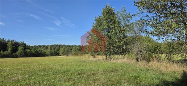 Zapraszam do zakupu działek 9 i 16 ar w Sędziszowie Małopolskim działka Sędziszów Małopolski