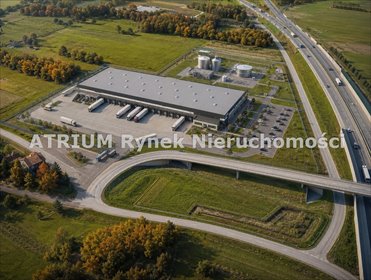 działka na sprzedaż 2600000m2 działka Piotrków Trybunalski