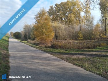 działka na sprzedaż 3000m2 działka Stare Gniewniewice