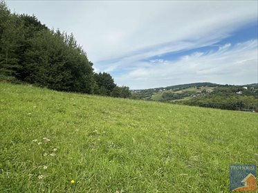 Polecam działkę 14 800 m² z widokiem na Mogielicę działka Nowe Rybie