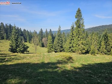 działka na sprzedaż 2502m2 działka Nowy Targ, Oleksówki