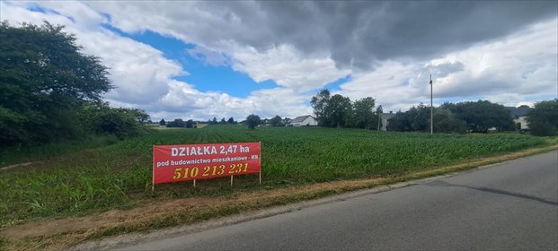 Sprzedam dużą działkę pod 10 domów w Krępcu działka Krępiec, Spokojna