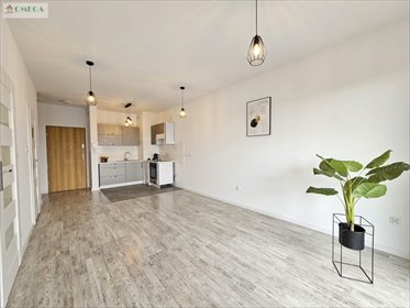 mieszkanie na sprzedaż 43m2 mieszkanie Sosnowiec, Zagórze