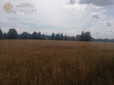 Działka budowlana na sprzedaż Biskupice, Biskupskie Drogi 1 564m2 Foto 5