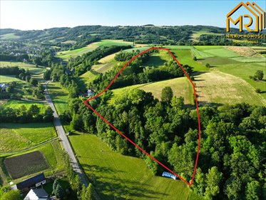 Działka 4,79 ha z możliwością zabudowy i mediów działka Wola Lubecka