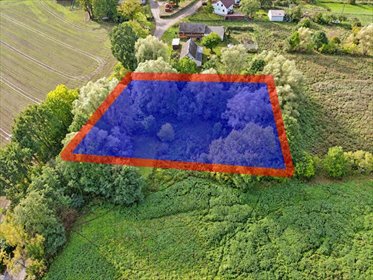 działka na sprzedaż 3094m2 działka Koszalin, Krokusów