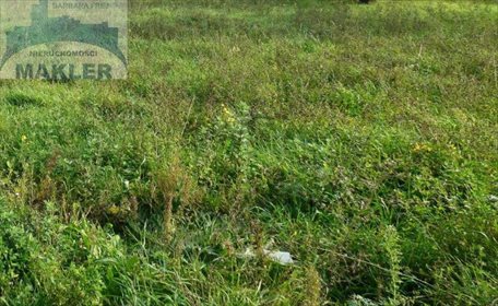 działka na sprzedaż 4900m2 działka Piekary Śląskie, Lipka