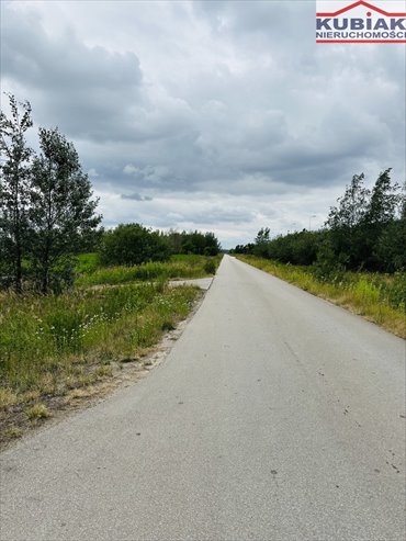 Sprzedam działkę inwestycyjną 6675 m² w Pruszkowie działka Pruszków, Żbików