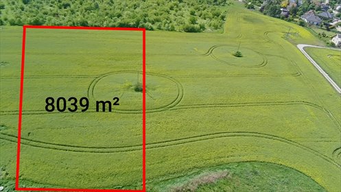 działka na sprzedaż 8039m2 działka Mierzyn