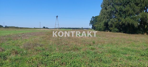 działka na sprzedaż 1200m2 działka Międzyrzecze, Międzyrzeczna