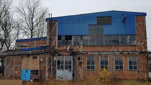 lokal użytkowy na sprzedaż 1005m2 lokal użytkowy Zabrze, Alojzego Pawliczka