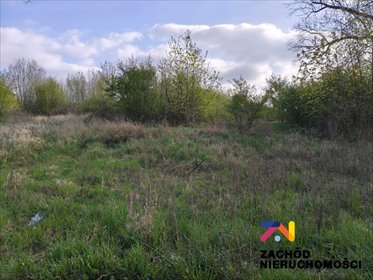 działka na sprzedaż 5518m2 działka Lubsko