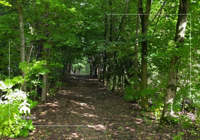 działka na sprzedaż 4500m2 działka Żyrzyn, Zielona